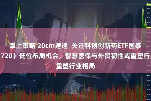 掌上策略 20cm速递  关注科创创新药ETF国泰（589720）低位布局机会，智慧医保与外贸韧性或重塑行业格局