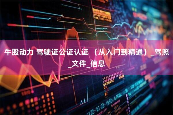 牛股动力 驾驶证公证认证 （从入门到精通）_驾照_文件_信息