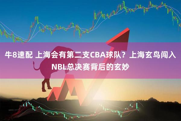牛8速配 上海会有第二支CBA球队？上海玄鸟闯入NBL总决赛背后的玄妙