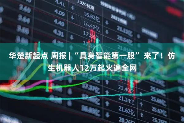 华楚新起点 周报 | “具身智能第一股” 来了！仿生机器人12万起火遍全网